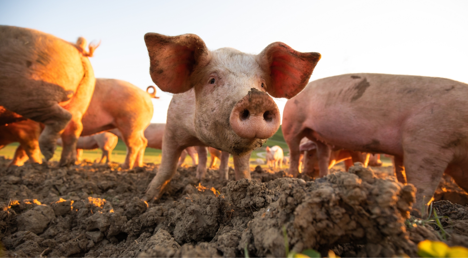 Nachhaltige Unternehmensf&uuml;hrung